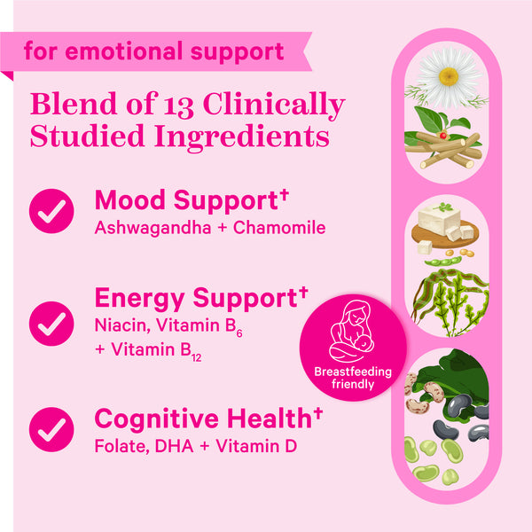 Pink Stork Postpartum Mood Support: Balance Hormones with Ashwagandha,  Postpartum Essentials Formulated for Breastfeeding