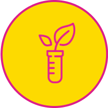 Icon of a test tube with plant growing out of it
