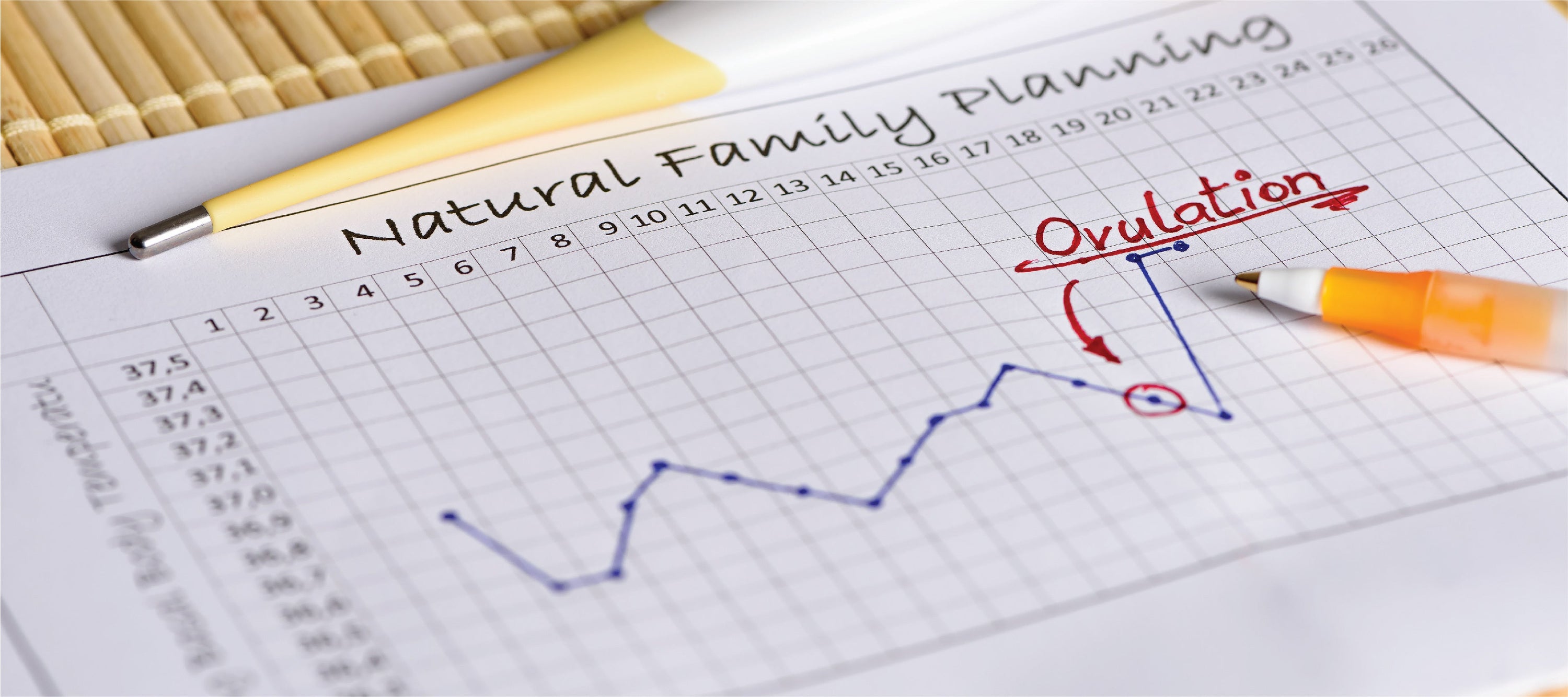 Natural family planning chart with basal body temperature tracking, showing ovulation marked in red pen.