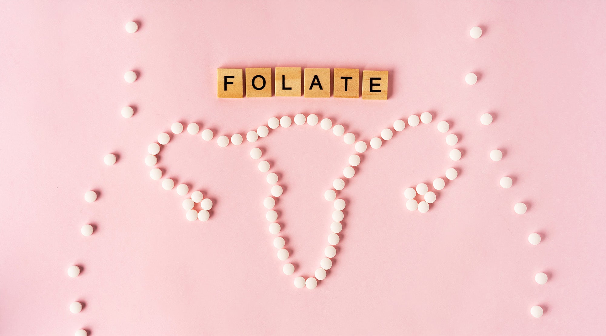 What is the Difference Between Folate and Folic Aid?