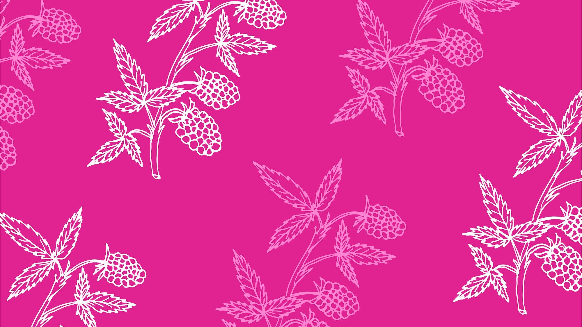 White raspberry leaf and berry illustration pattern on a vibrant pink background, showcasing detailed botanical line art.