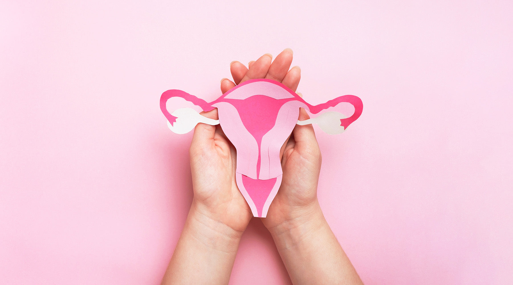 Hands holding a pink paper cutout of a female reproductive system on a pastel pink background.