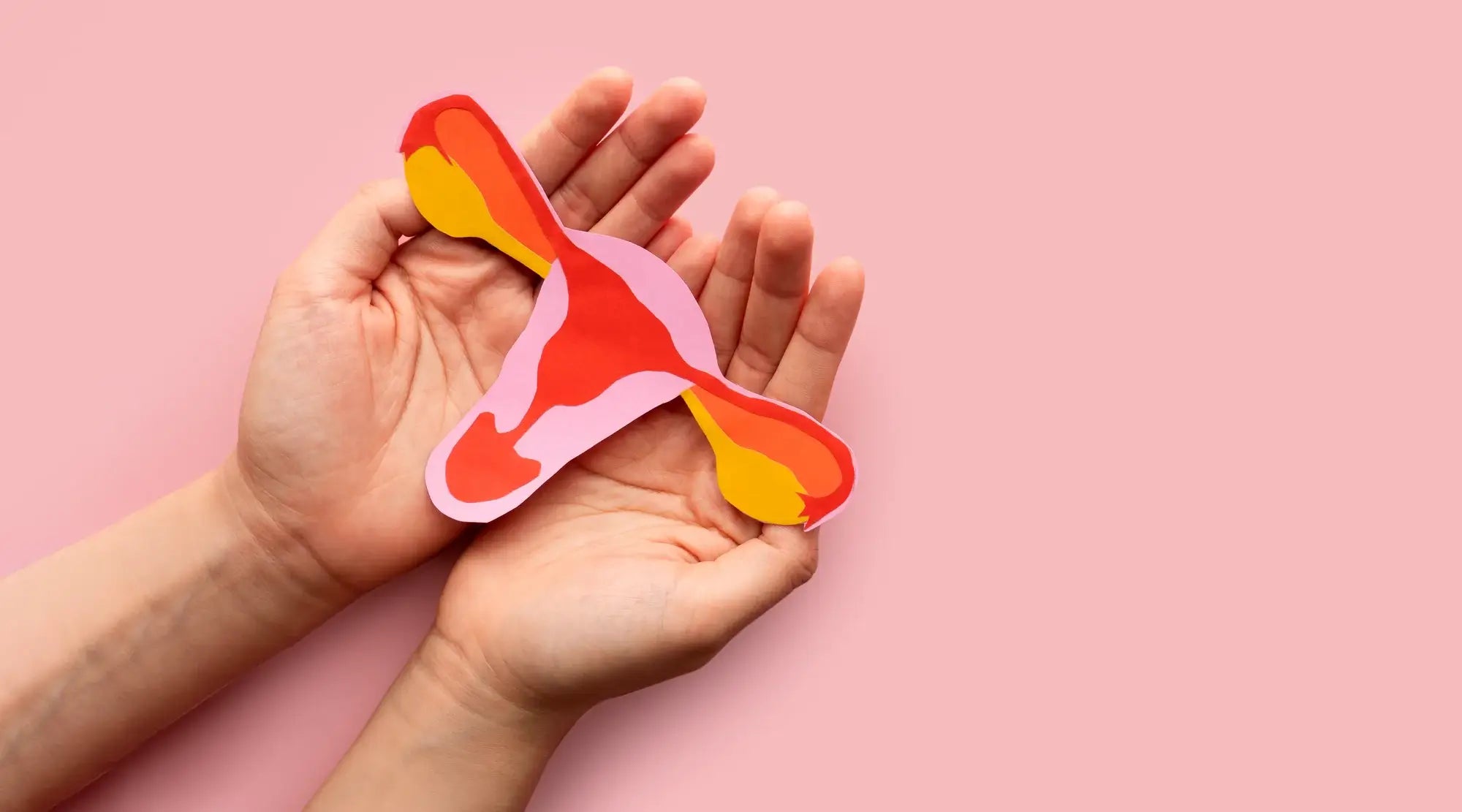 Hands holding a colorful paper cutout of a female reproductive system on a pink background.
