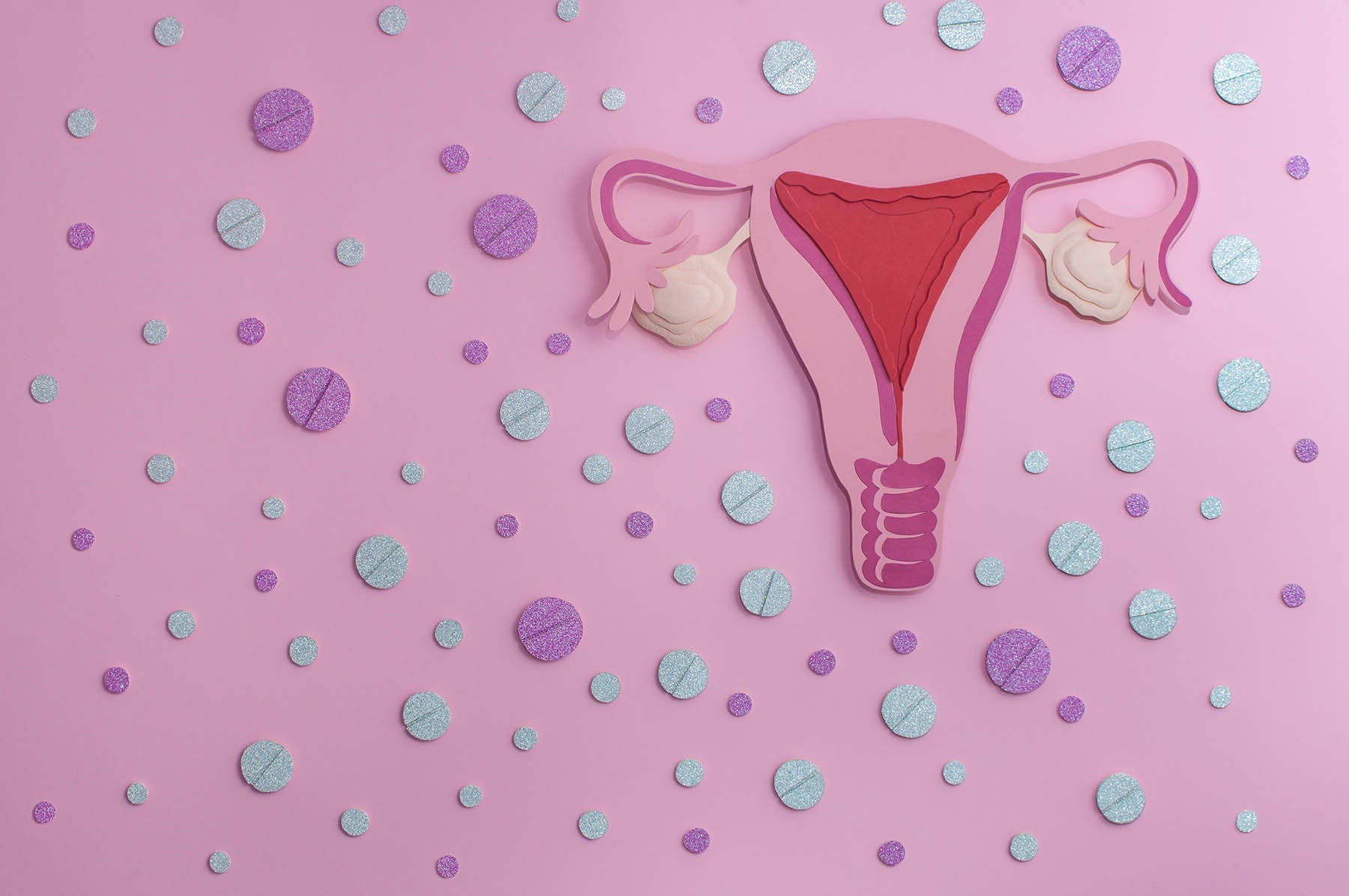 Creative anatomical illustration of the female reproductive system on a pink background with decorative purple and silver circles.