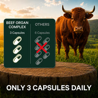Beef organ complex supplement with a bull in the background