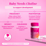 Pink Stork Choline on glass slab with pills spread around the bottle. Baby needs Choline to support development. Explains benefits for pregnant, postpartum, infancy, and childhood.