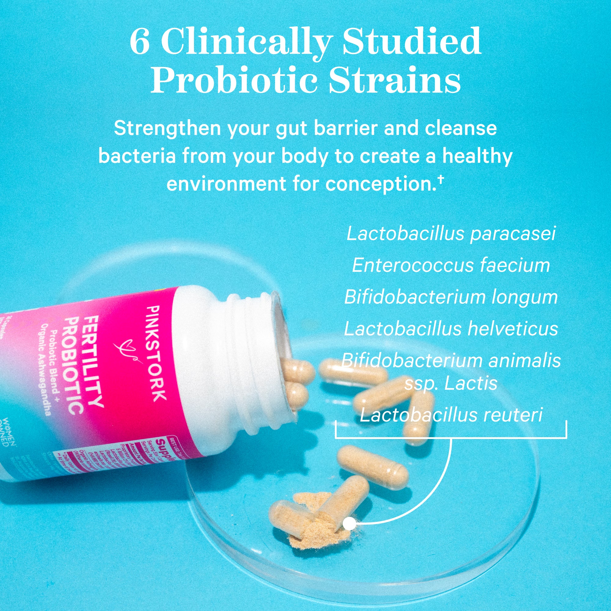 6 Clinically Studied Probiotic Strains. Strengthen your gut barrier and cleanse bacteria from your body to create a healthy environment for conception. Pink Stork Fertility Probiotic bottle laying on its side with capsules spilling out on a blue background.