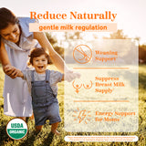 A smiling women helping her baby walk. Reduce naturally. Gentle milk regulation. Weaning Support. Suppress Breast Milk Supply. Energy Support for Moms.