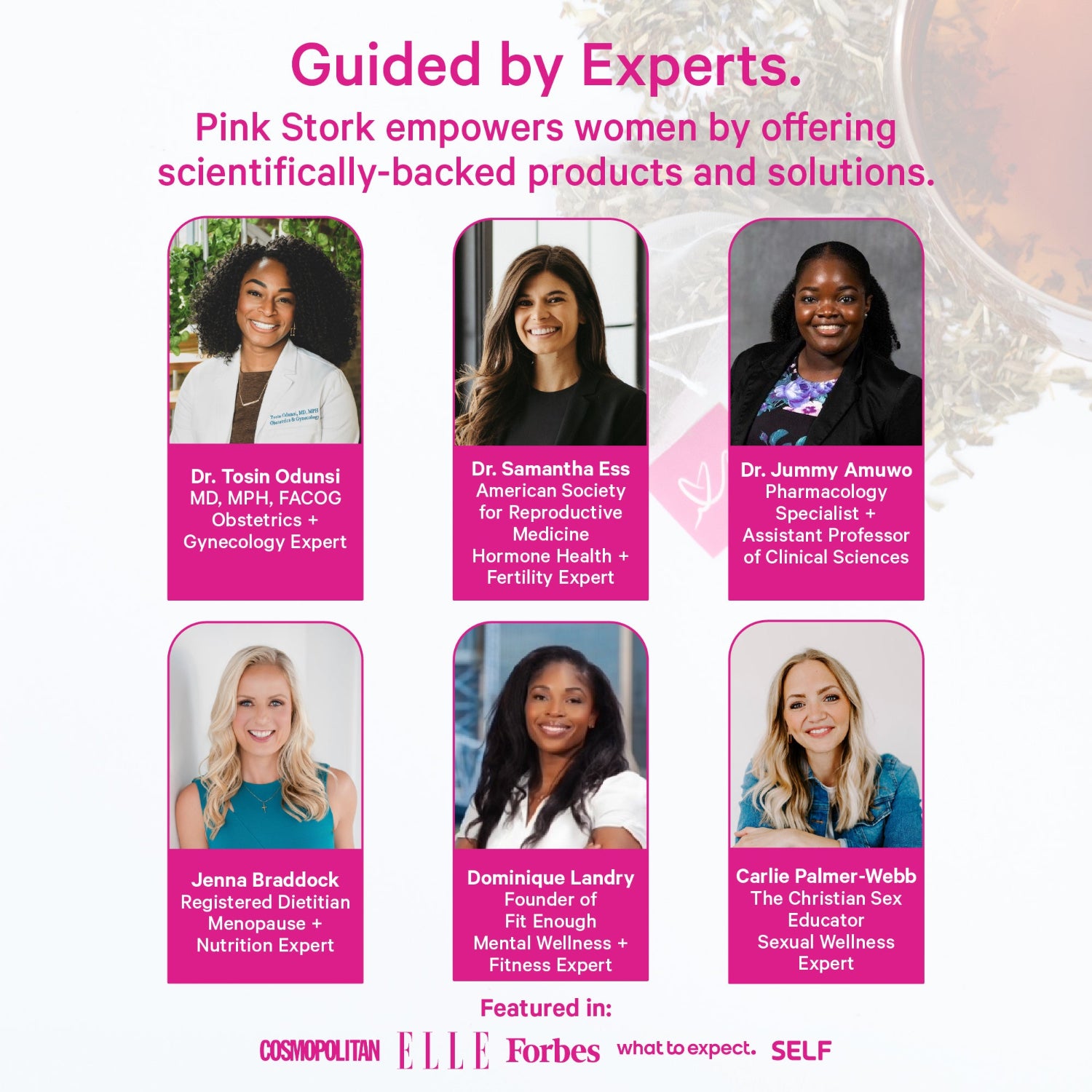 Advertisement featuring women with their expertise and a Pink Stork logo.
