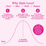 Graph showing a timeline of postpartum hair loss. Why hair loss? Pro tip: Vitamin B, D, E, Biotin, Zinc, + B complex can help replenish nutrients lost after birth.