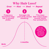 Why hairloss? Grow, rest, shed, and repeat. Chart with information about postpartum hairloss timeline.