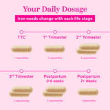 Graphic showing how many capsules of Pink Stork Prenatal Iron women should take from trying to conceive through postpartum. Your daily dosage.