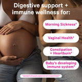 Close up of two pregnant women holding their bellies. Digestive support + immune wellness.