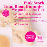 Ginger root and turmeric powder on white wood table. Pink Stork Total Bloat Gummies - we put it to the test.