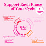 Support Each Phase of Your Cycle. Chart with different phases of the menstrual cycle and descriptions about what happens during each.