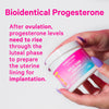 Hands holding partially opened jar of Pink Stork Wild Yam Cream. Bioidentical Progesterone.