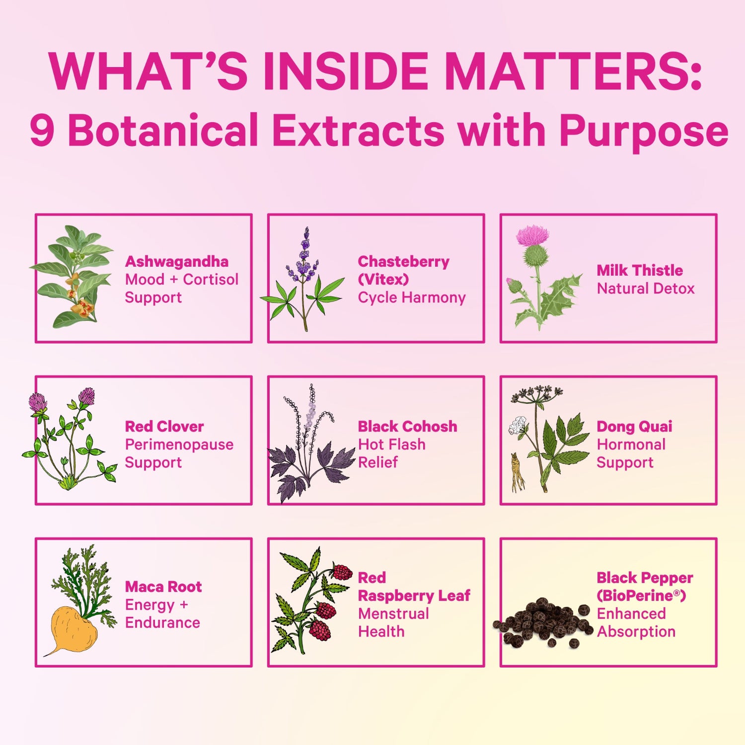 List of botanical extracts with their purposes on a pink and yellow gradient background